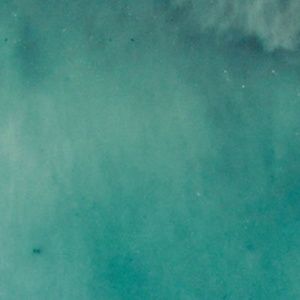 Meet your Posher, Rita